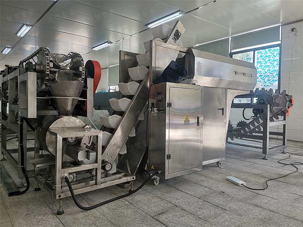 米線濕粉條包裝機(jī)，鮮濕粉專用